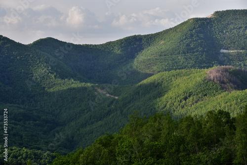 Beautiful hilly mountain landscape on a summer day