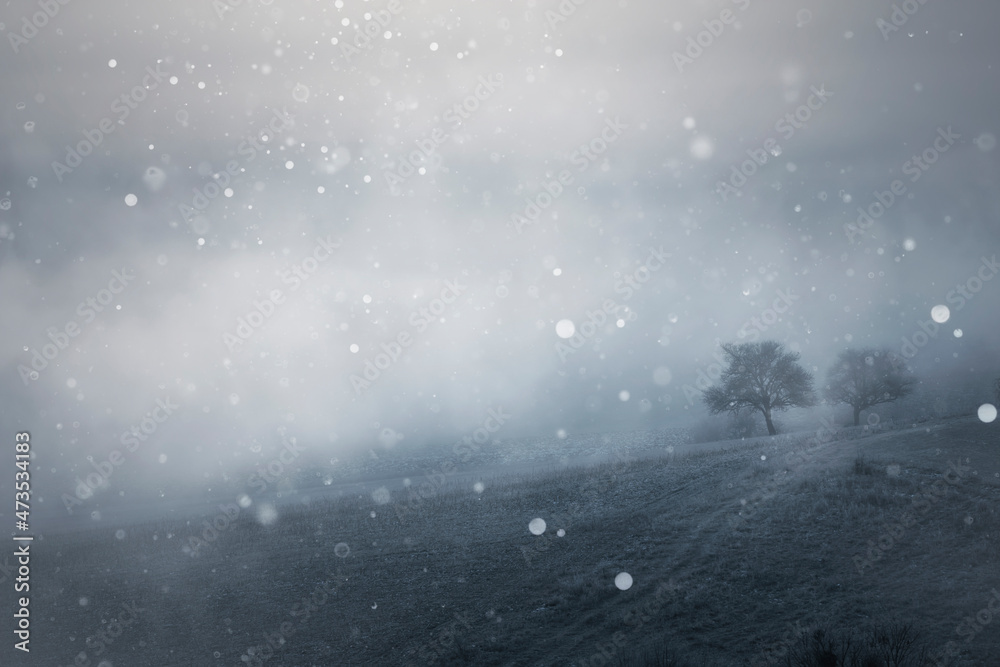 Fototapeta premium winter landscape, snow flakes falling on the hills