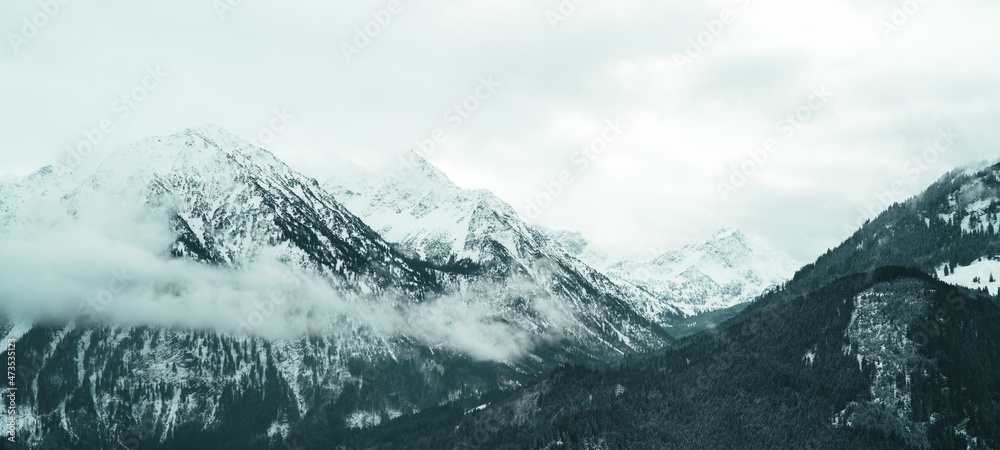 Obraz premium Amazing mystical rising fog forest snow snowy trees landscape snowscape in the mountains winter, Germany Allgäu panorama banner - dark mood in the alpine alps