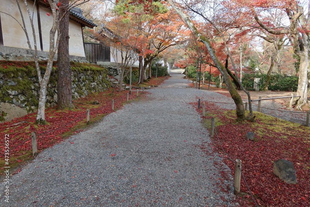 To-mon Gate and autumn leaves in the precincts of Nison-in Temple at Saga in Kyoto City in Japan 日本の京都市嵯峨にある二尊院境内の東門と紅葉