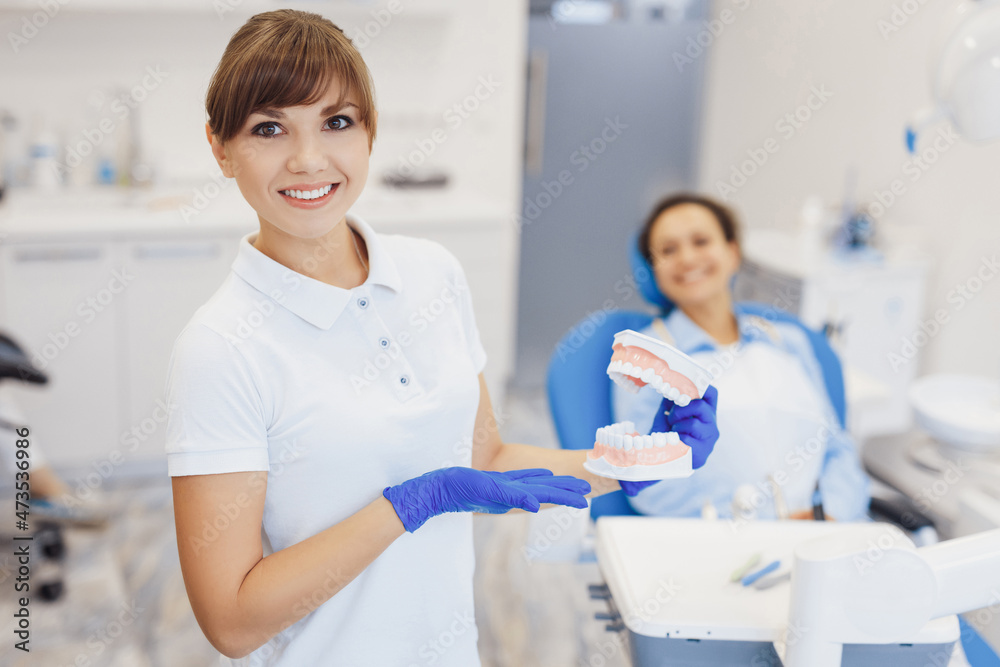 Fototapeta premium Orthodontist demonstrating jaws model