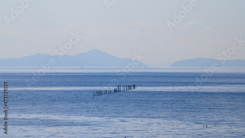 びわ湖 湖面 きらめき えり 魞 初冬 晴天 波 風