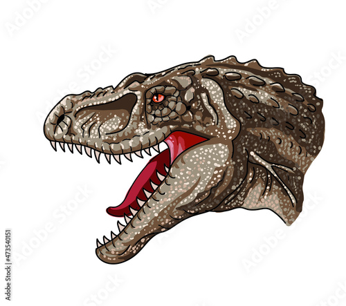 Tarbosaurus head drawing   art.illustration  vector