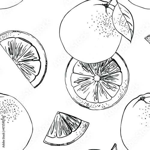 Citrus sketch pattern. Drawing in ink line on a white background. 