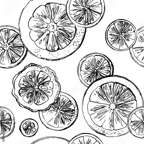 Citrus sketch pattern. Drawing in ink line on a white background. 