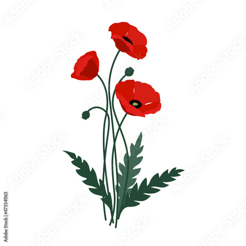 Fototapeta Naklejka Na Ścianę i Meble -  Decorative bouquet of red poppy flowers. Meadow herbal plant. Color vector illustration isolated on a white background in a cartoon and flat design.