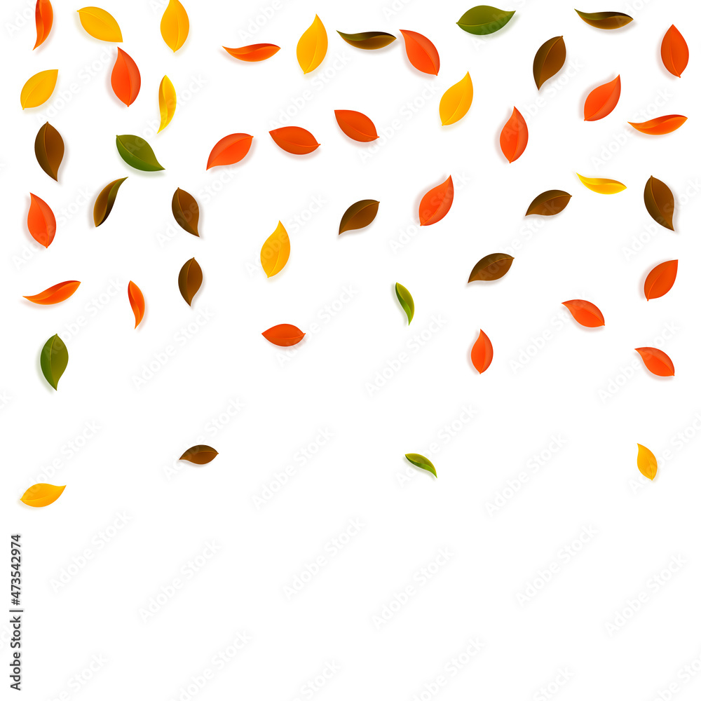 Falling autumn leaves. Red, yellow, green, brown r Falling autumn leaves. Red, yellow, green, brown r