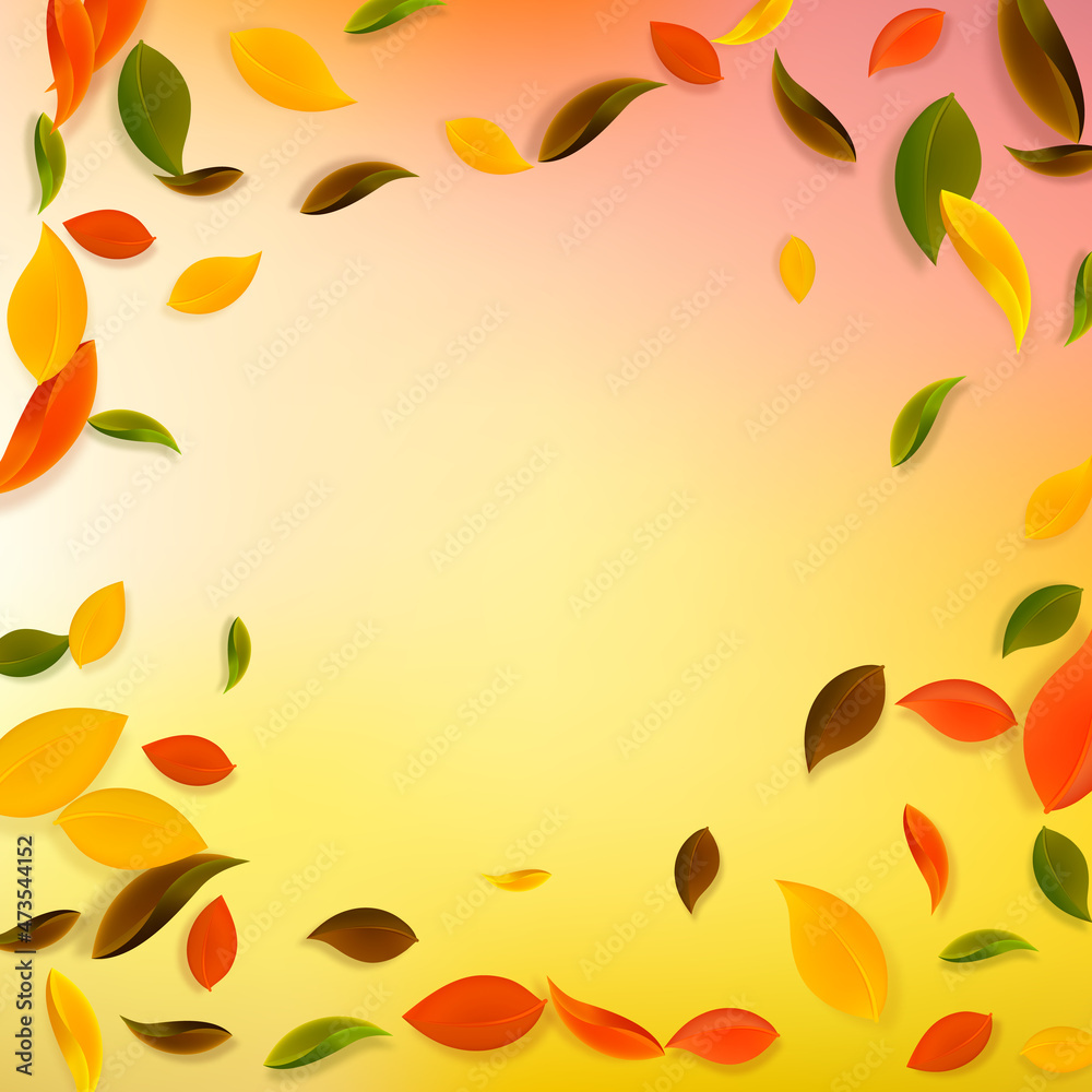Falling autumn leaves. Red, yellow, green, brown c Falling autumn leaves. Red, yellow, green, brown c