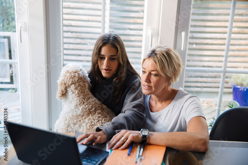 Girl e-learning on laptop while sitting with mother and dog at home