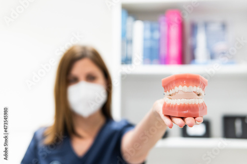 Female dentist holding dentures at clinic during COVID-19 photo