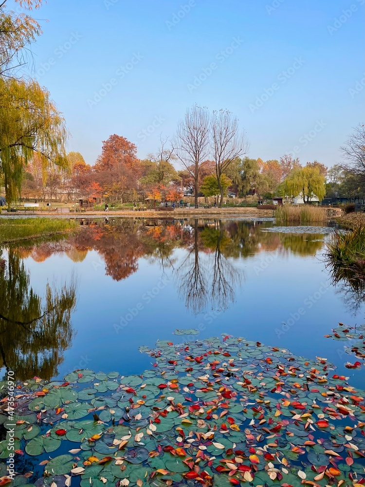 Obraz premium autumn in the park