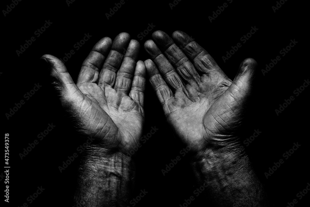 Fototapeta premium working hands