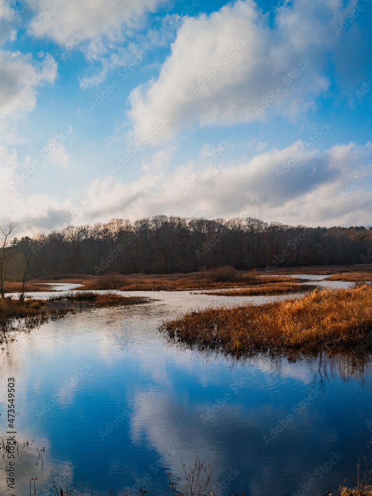 Curved river through the marsh and dark forest. New England winter coastal landscape with dramatic clouds and water reflections. Blue mirror-like stream water and dried seagrasses in the river. 
