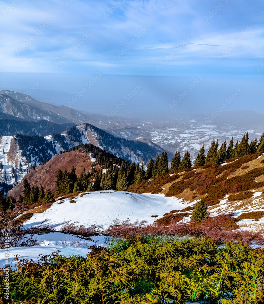 landscape in autumn