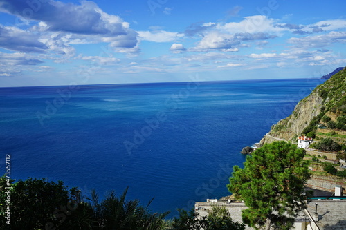 Fototapeta Naklejka Na Ścianę i Meble -  Cliff on the sea in Riomaggiore, Cinque Terre, Italy