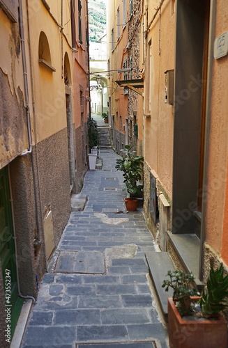 Alley in the village of Riomaggiore  Cinque Terre  Italy