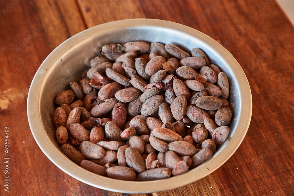 Cocoa beans picked by hand Cocoa beans picked by hand