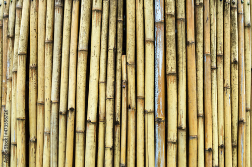 Old brown tone bamboo simple wall or Bamboo fence texture background for interior or exterior design vintage tone. Brown bamboo stick pattern backdrop. Local area urban house protection from thief.