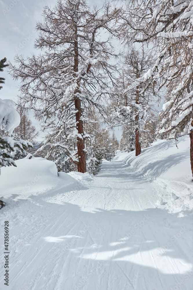 Winter Snowy Mountain Landscape