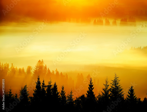 Incredibly beautiful sunrise in the mountains. Coniferous trees in the fog and the rays of the sun through the foggy forest. © Ann Stryzhekin