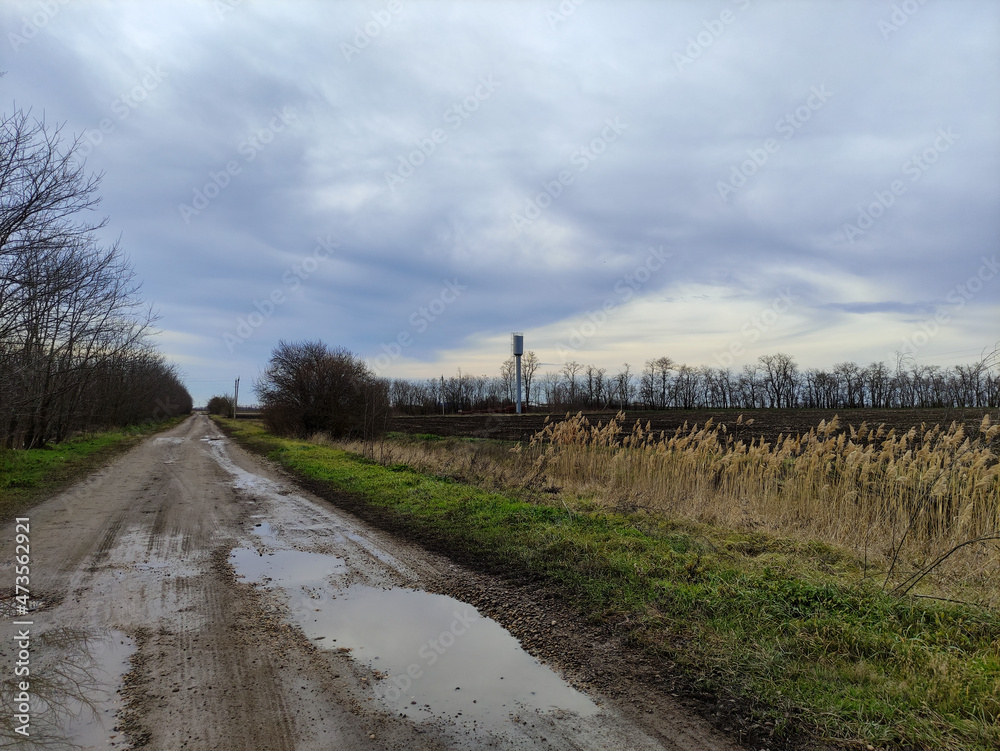 Country road through agricultural fields in cloudy weather