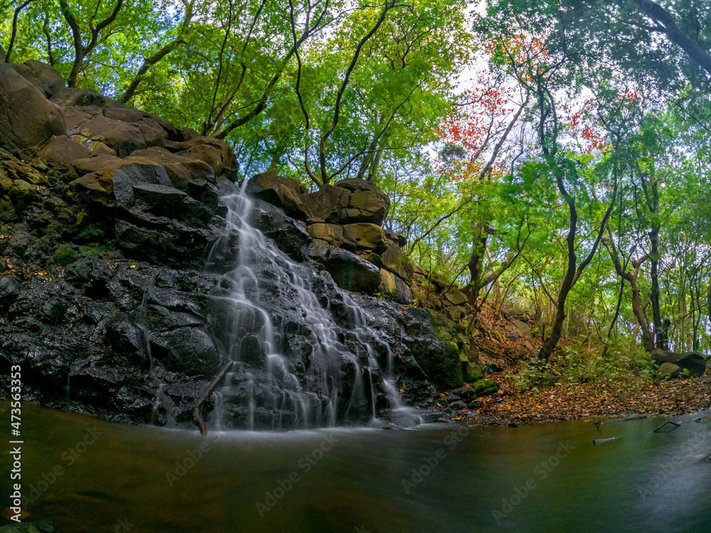 Long exposure view of a waterfall hidden in a forest located in Mauritius Long exposure view of a waterfall hidden in a forest located in Mauritius