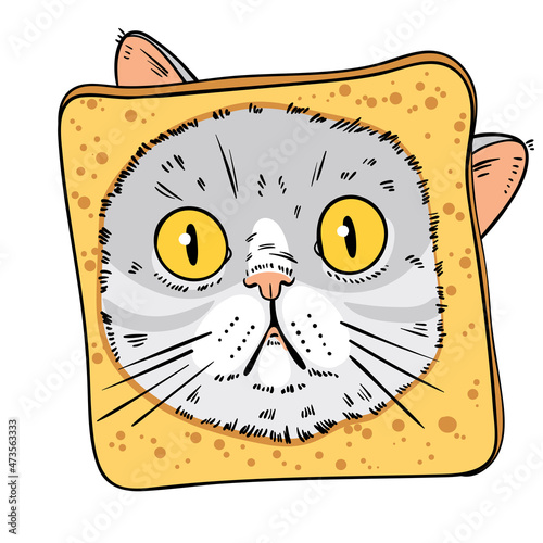 Cat portrait drawing. Face of surprised cat is in piece of bread. Cartoon characters. Funny vector illustration. Isolated on white background.