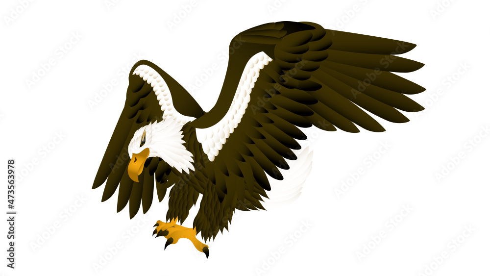 Diving Eagle Stock Vector Adobe Stock