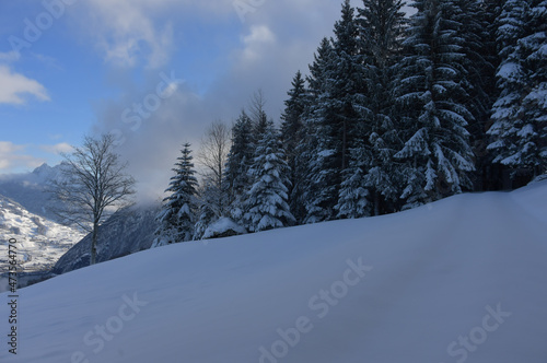 Winter Landschaft © MEISTERFOTO