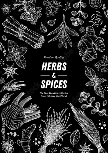 Herbs and spices hand drawn vector illustration. Aromatic plants. Hand drawn food sketch. Vintage illustration. Card design. Sketch style. Spice and herbs black and white design.