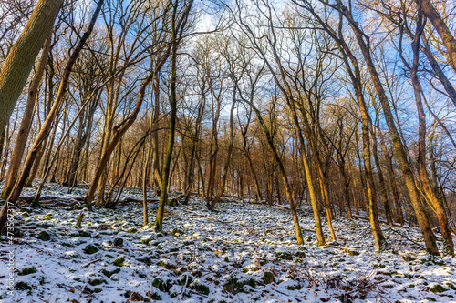 Winterwanderung durch die wunderschöne Vorderrhön bei Dermbach - Thüringen photo