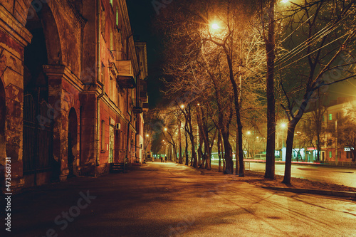 Night empty street in the city of Voronezh © Mulderphoto