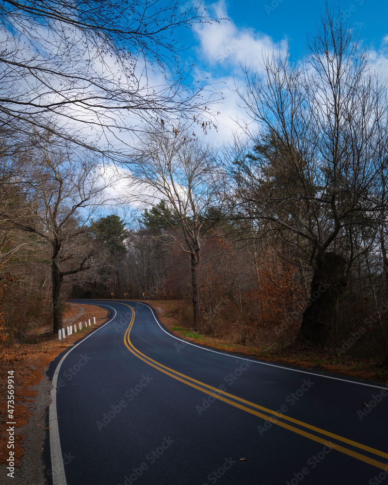 Curving paved coastal road winding into the forest. Dramatic winter road trip landscape in New England. Travel photo with tranquil empty two-lane street along Long Pond in Rochester, Massachusetts. Curving paved coastal road winding into the forest. Dramatic winter road trip landscape in New England. Travel photo with tranquil empty two-lane street along Long Pond in Rochester, Massachusetts.