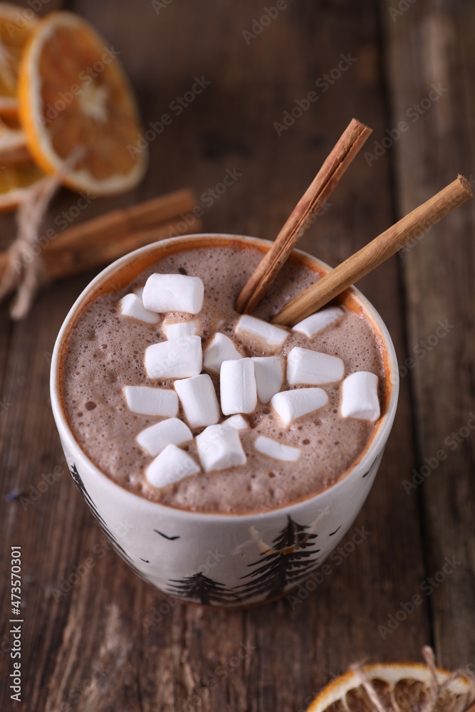 Cocoa with marshmallows, cinnamon and dried oranges Cocoa with marshmallows, cinnamon and dried oranges