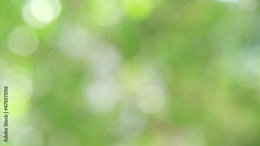 Colorful bokeh background. Business blurry wallpaper. Abstract soft texture. Dreamy sunlights unfocus. Card decoration. Glamour backdrop. Green color. Horizontal Colorful bokeh background. Business blurry wallpaper. Abstract soft texture. Dreamy sunlights unfocus. Card decoration. Glamour backdrop. Green color. Horizontal