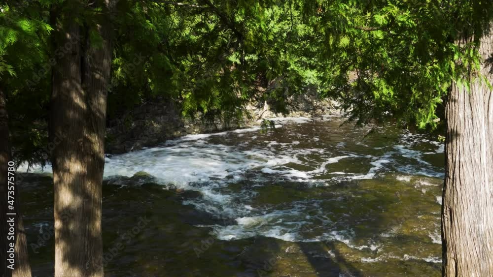 River water flowing, view between trees; Ocqueoc Falls River in Northwest Michigan after months of rain in late summer--late morning. 424 River water flowing, view between trees; Ocqueoc Falls River in Northwest Michigan after months of rain in late summer--late morning. 424