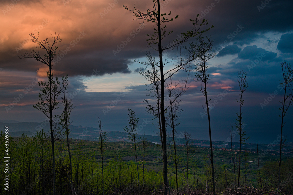 tramonto bosco fino a mare tramonto bosco fino a mare