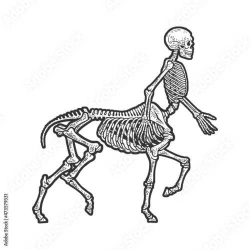 Centaur skeleton sketch engraving vector illustration. T-shirt apparel print design. Scratch board imitation. Black and white hand drawn image.