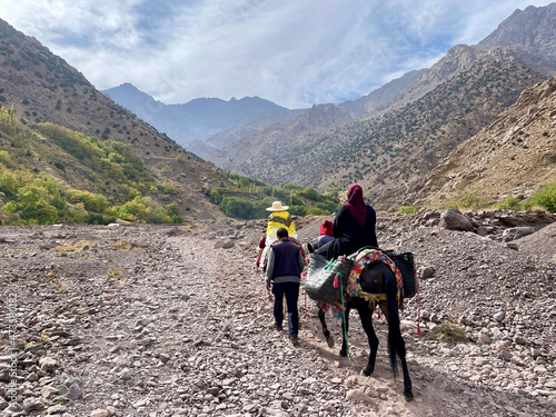 Local women on mules in the High Atlas Mountains on the way to Sidi Chamharouch, a pre-islamic marabout shrine, Morocco.