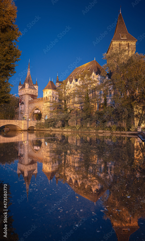 View on Vajdahunyad castle in the City Park of the Hungarian capital Budapest