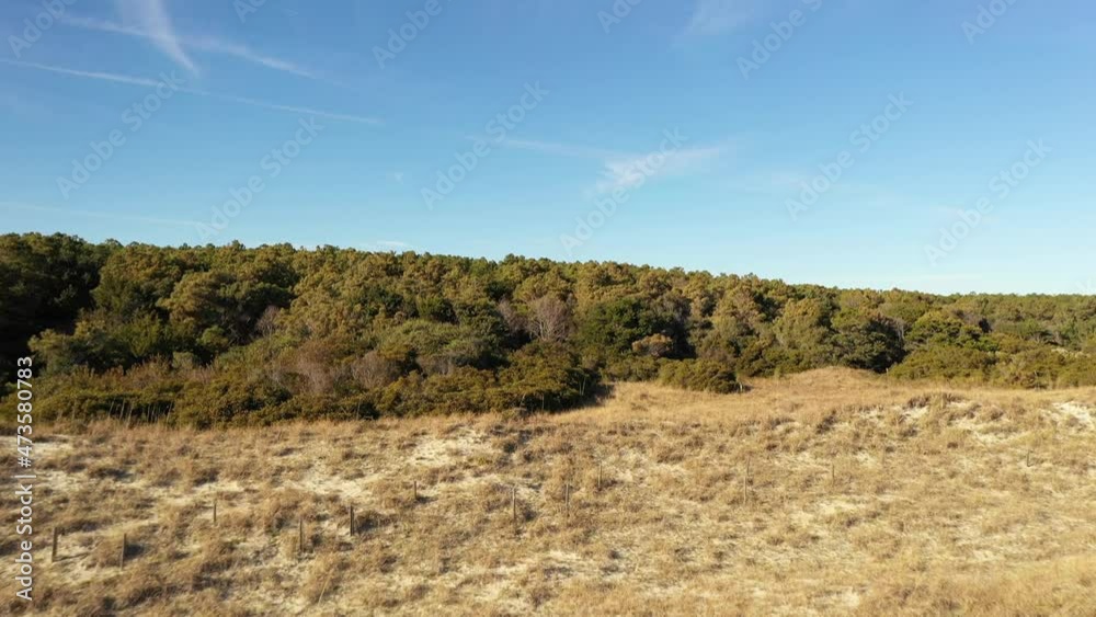 Sand dunes, beach and shoreline on Grand Stand coastal South Carolina