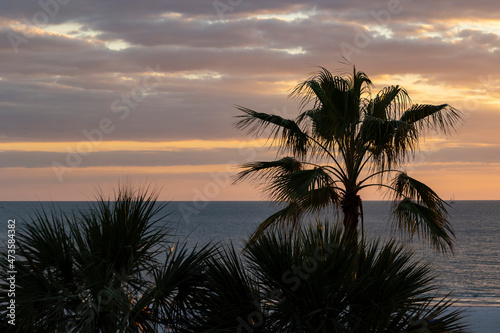 Silhouette of palm trees at sunset on a beach.