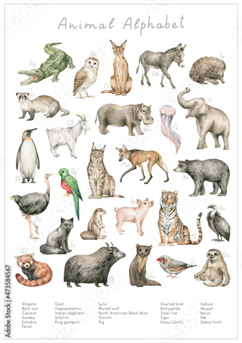 Watercolor animal alphabet. ABC poster for kids. English alphabet. Hand-painted educational set. Cute wild animals. Nursery wall art, poster. Animal world.