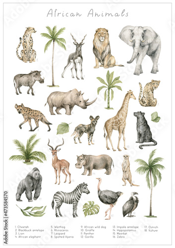 Watercolor African wild animals. Cheetah, blackbuck antelope, lion, elephant, warthog, rhinoceros, giraffe, leopard, spotted hyena,  African wild dog, planter, impala, hippopotamus, zebra, gorilla