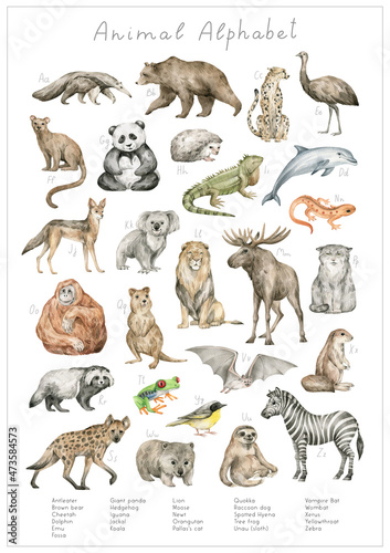 Watercolor animal alphabet. ABC poster for kids. English alphabet. Hand-painted educational set. Cute wild animals. Nursery wall art, poster. Animal world. photo