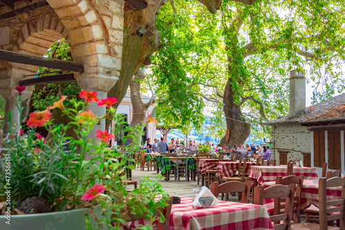 Fototapeta Naklejka Na Ścianę i Meble -  Traditional greek village of Makrinitsa on Pelion mountain in central Greece. 
