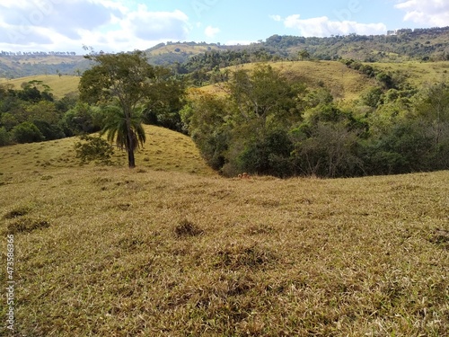 Fazenda C  rrego Rico MG