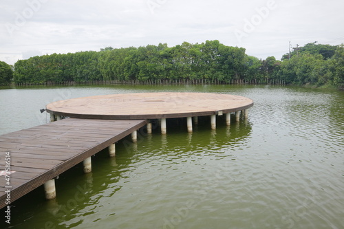 platform board in the middle of the mangrove swamp