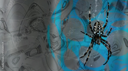 Halloween concept background, spider on web on abstract background