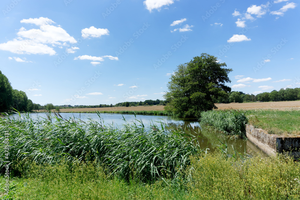 Fototapeta premium Pond in the Regional Natural Park of the Perche near Nogent-Le-Rotrou city
